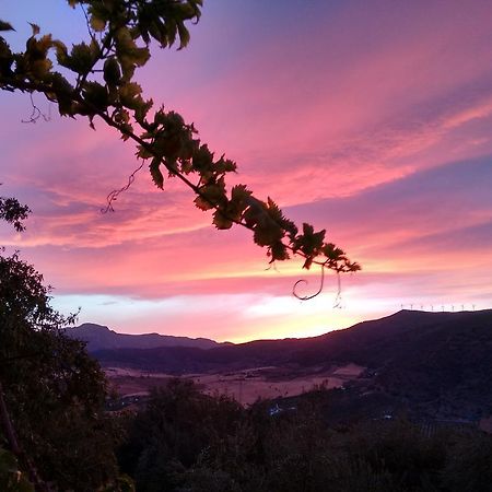 Finca La Piedra Holidays Эль-Чорро Экстерьер фото