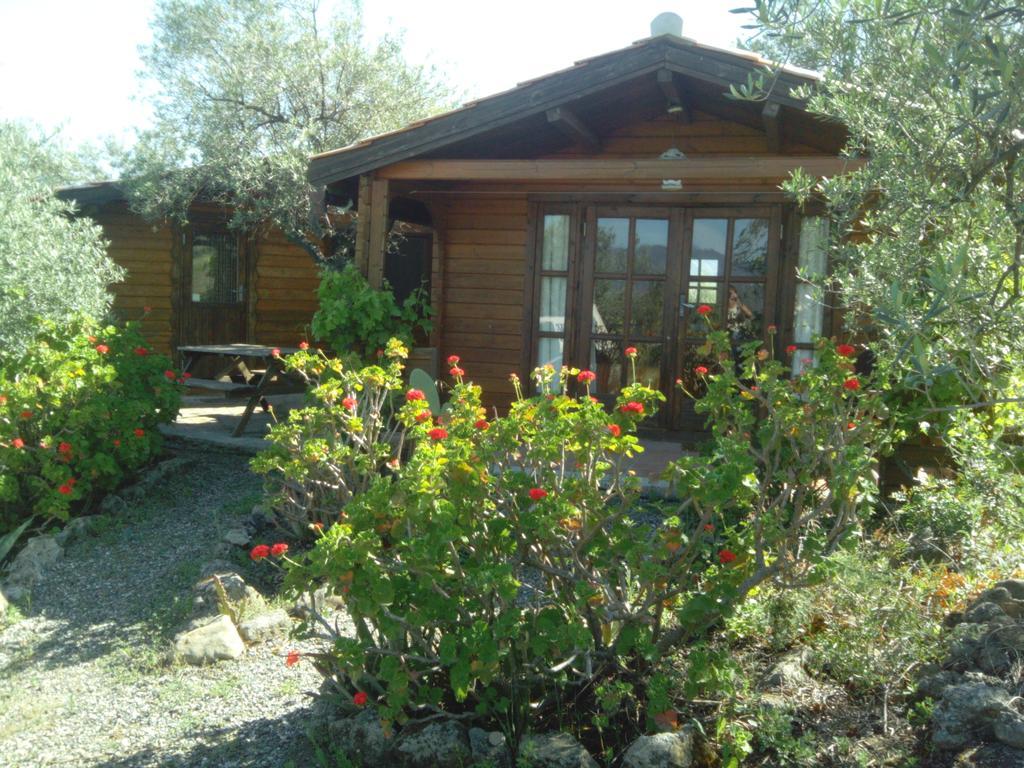 Finca La Piedra Holidays Эль-Чорро Номер фото